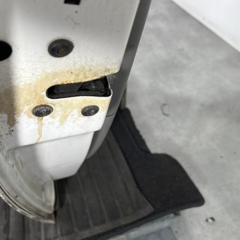 Porte arriere gauche FORD GALAXY 1 Photo n°3