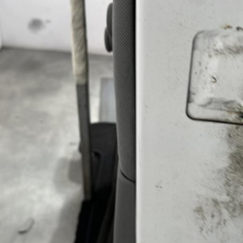 Porte arriere gauche FORD GALAXY 1 Photo n°4
