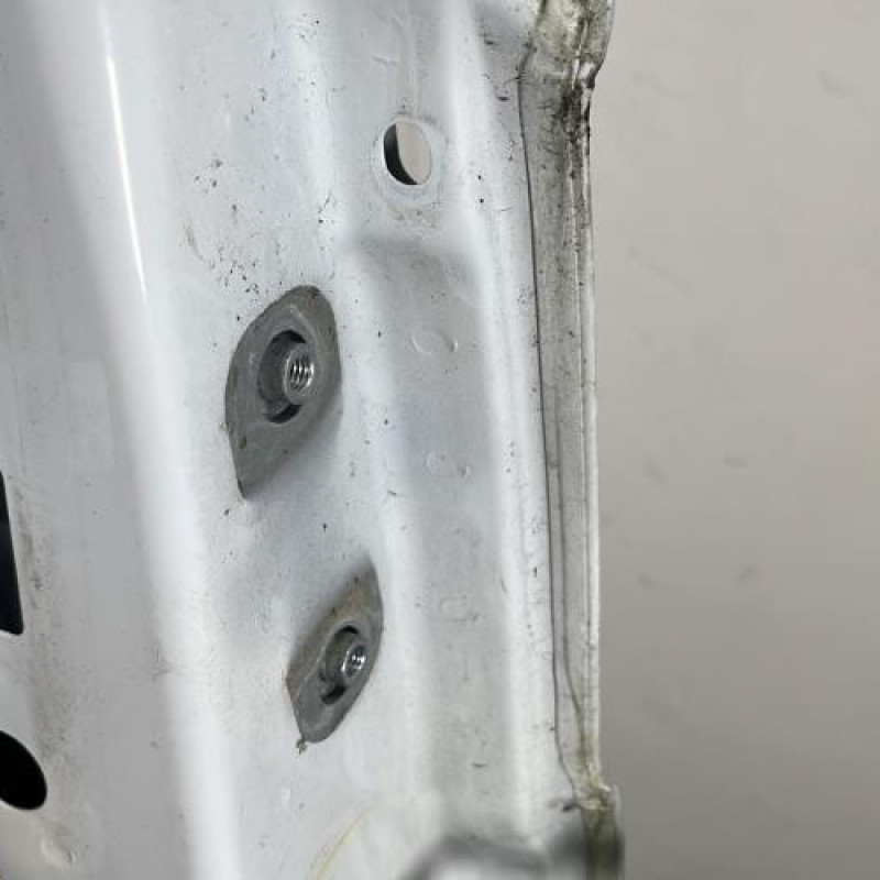 Porte avant gauche RENAULT TRAFIC 3 COURT Photo n°3