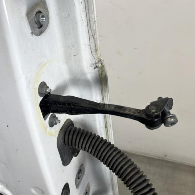 Porte avant gauche RENAULT TRAFIC 3 COURT Photo n°4