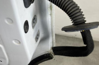 Porte avant gauche RENAULT TRAFIC 3 COURT