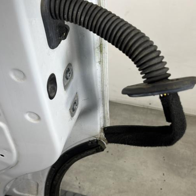 Porte avant gauche RENAULT TRAFIC 3 COURT Photo n°5
