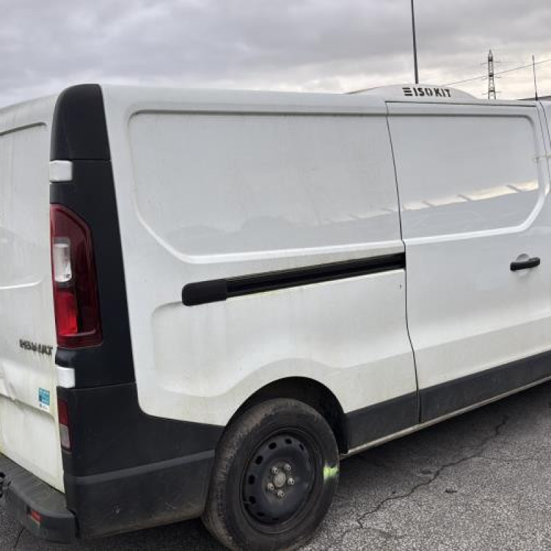 Porte avant gauche RENAULT TRAFIC 3 COURT Photo n°10