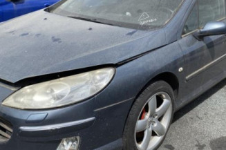 Custode avant gauche (porte) PEUGEOT 407