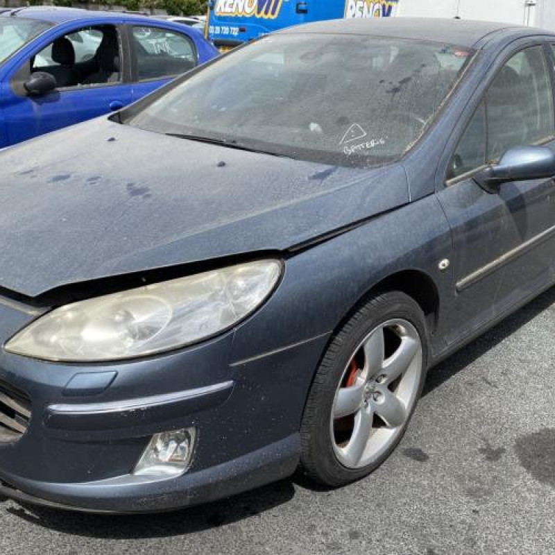 Custode avant gauche (porte) PEUGEOT 407 Photo n°6