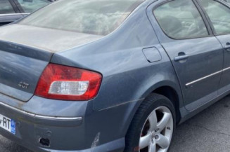 Custode avant gauche (porte) PEUGEOT 407