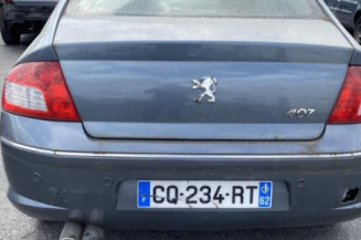 Custode avant gauche (porte) PEUGEOT 407