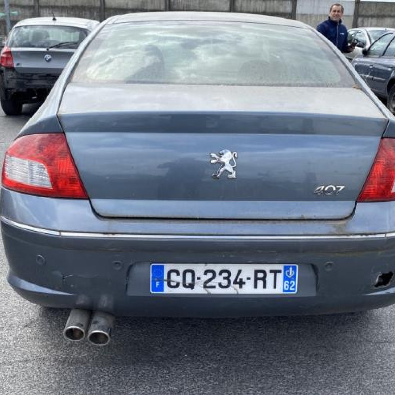 Custode avant gauche (porte) PEUGEOT 407 Photo n°11