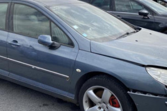 Custode avant gauche (porte) PEUGEOT 407