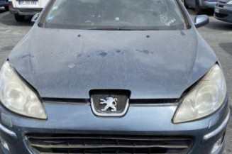 Custode avant gauche (porte) PEUGEOT 407