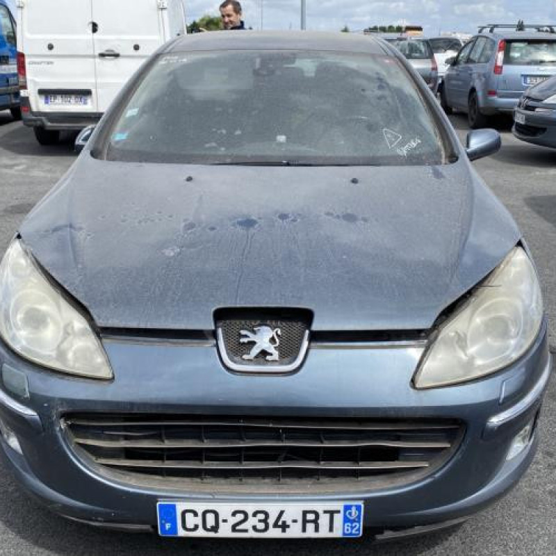 Custode avant gauche (porte) PEUGEOT 407 Photo n°14