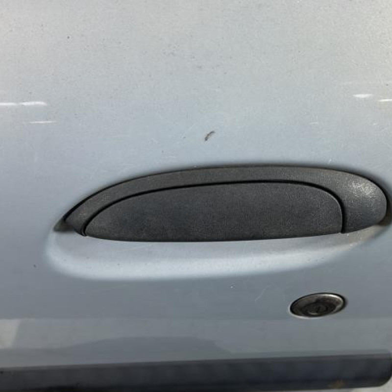 Porte avant gauche RENAULT CLIO 2 Photo n°2