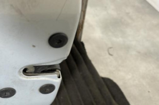Porte avant gauche RENAULT CLIO 2