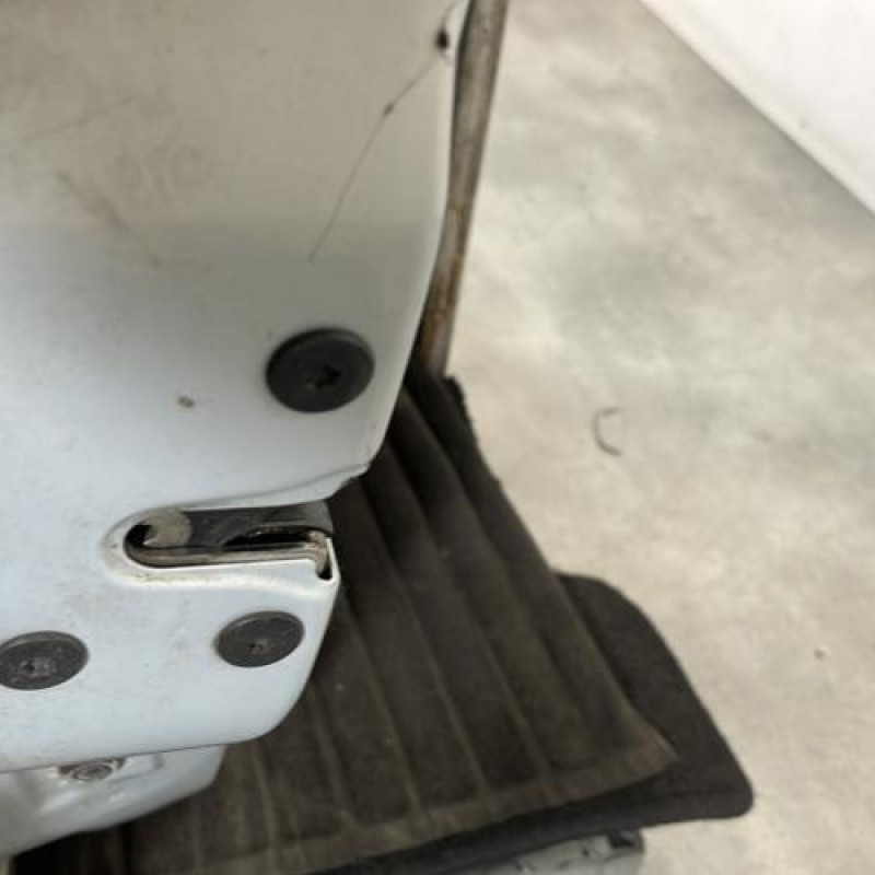 Porte avant gauche RENAULT CLIO 2 Photo n°3