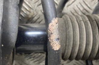 Amortisseur avant gauche RENAULT CLIO 3