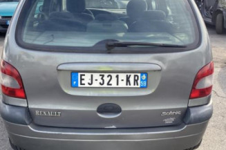 Bouton de warning RENAULT SCENIC 1
