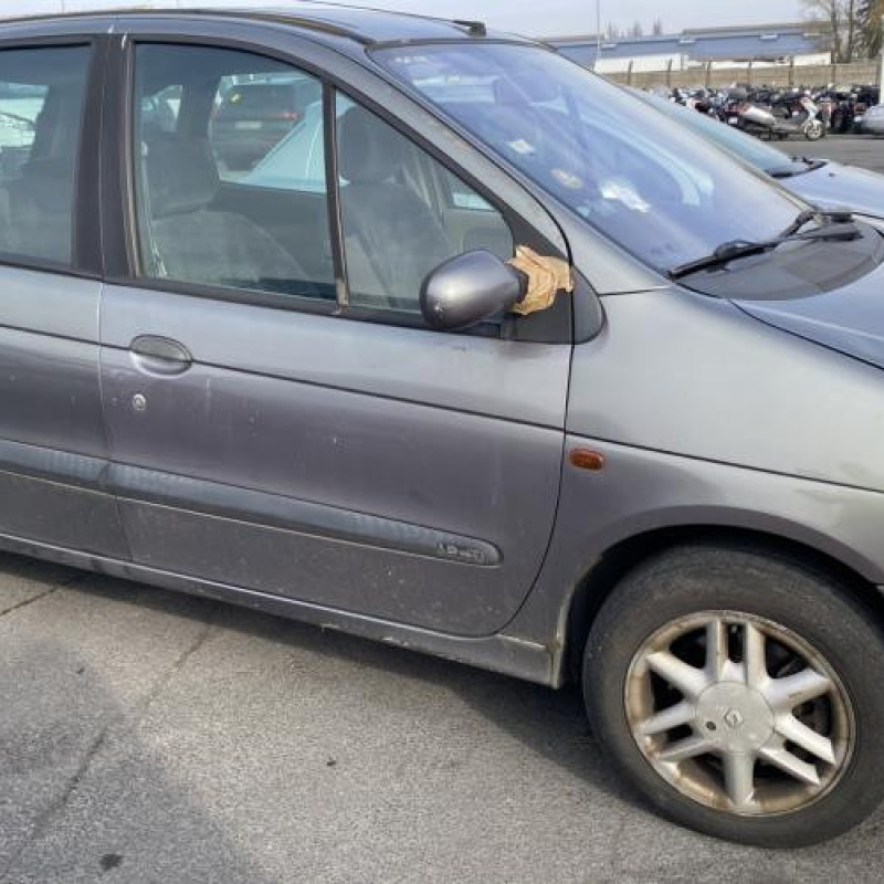 Bouton de warning RENAULT SCENIC 1 Photo n°10