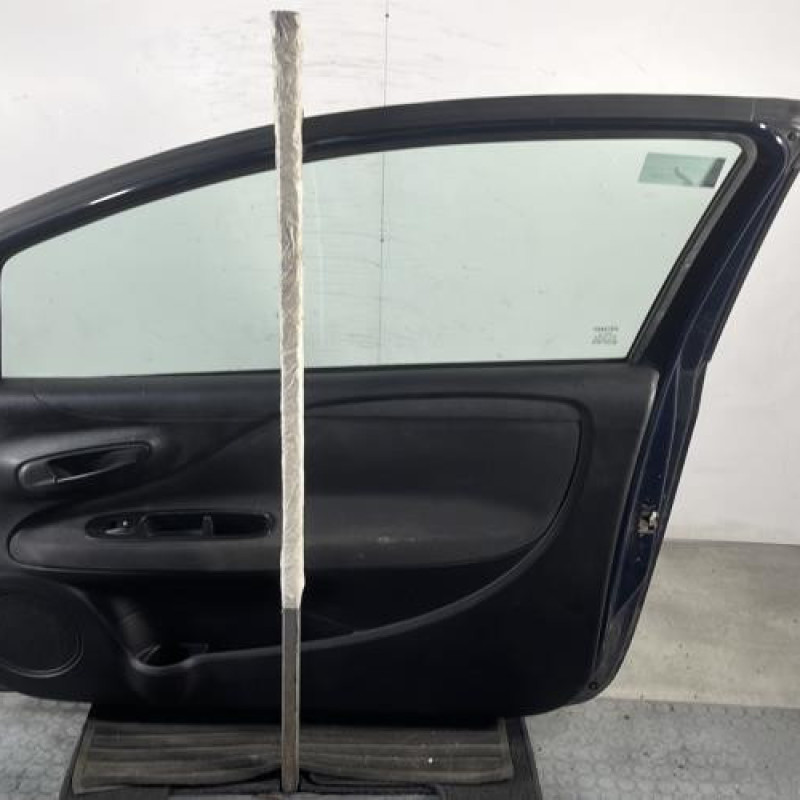 Porte avant droit FIAT PUNTO EVO 3 Photo n°7