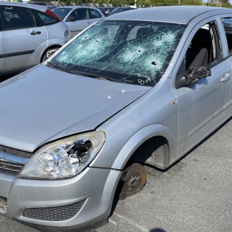 Pedale d'accelerateur OPEL ASTRA H Photo n°4