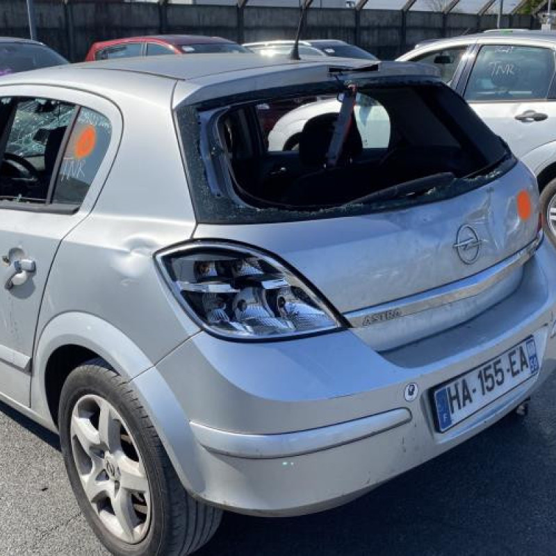 Pedale d'accelerateur OPEL ASTRA H Photo n°7