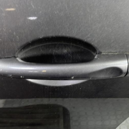 Porte avant gauche RENAULT CLIO 4