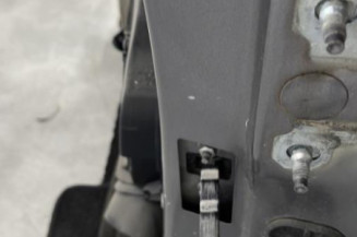 Porte avant gauche RENAULT CLIO 4