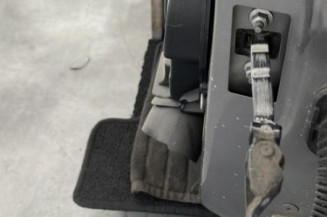 Porte avant gauche RENAULT CLIO 4