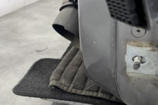 Porte avant gauche RENAULT CLIO 4