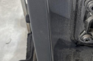 Porte arriere gauche SKODA FABIA 2