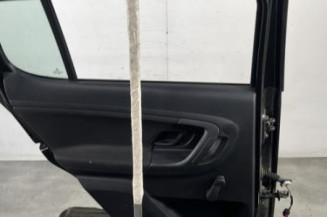 Porte arriere gauche SKODA FABIA 2
