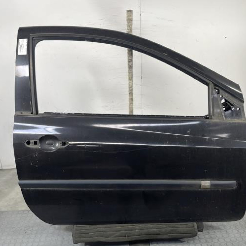 Porte avant droit RENAULT CLIO 3 Photo n°1