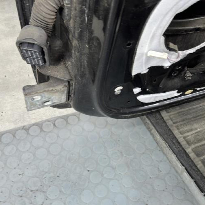 Porte avant droit RENAULT CLIO 3 Photo n°4