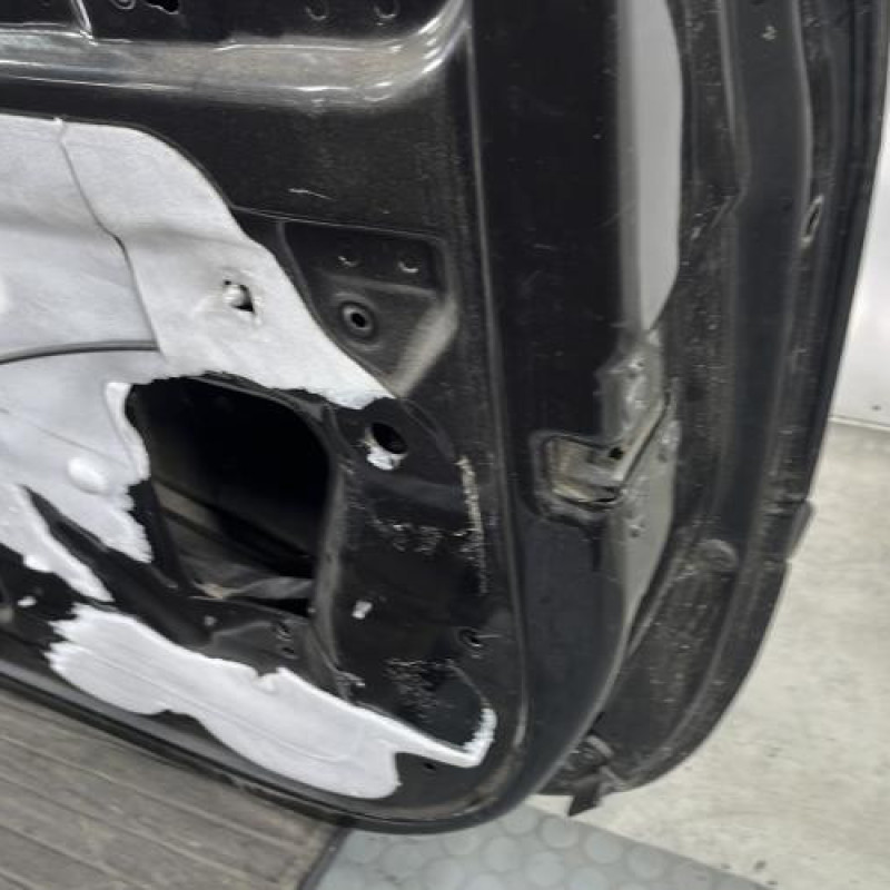 Porte avant droit RENAULT CLIO 3 Photo n°5
