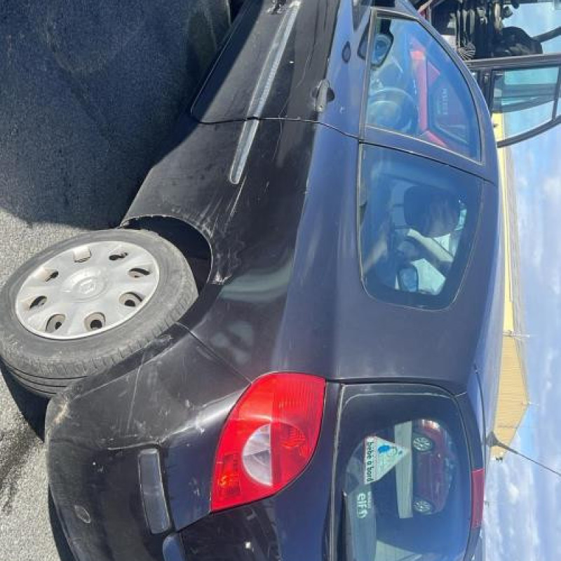 Porte avant droit RENAULT CLIO 3 Photo n°13