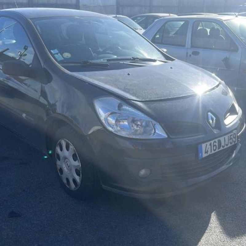 Porte avant droit RENAULT CLIO 3 Photo n°15