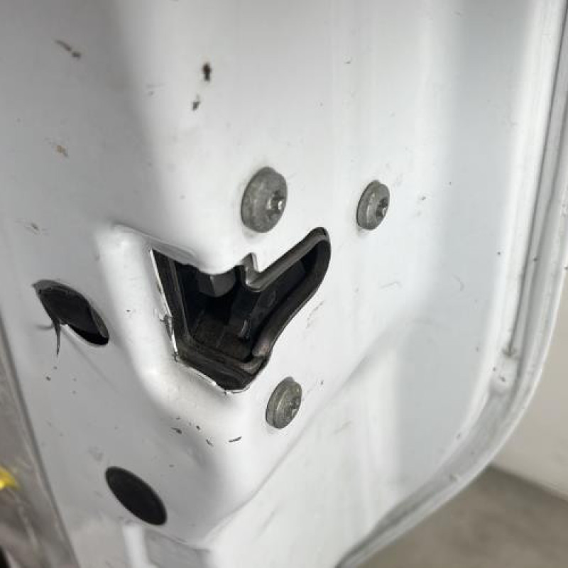 Porte avant droit RENAULT TRAFIC 2 Photo n°3