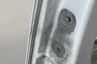 Porte avant droit RENAULT TRAFIC 2