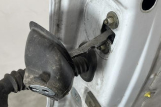 Porte avant droit RENAULT TRAFIC 2