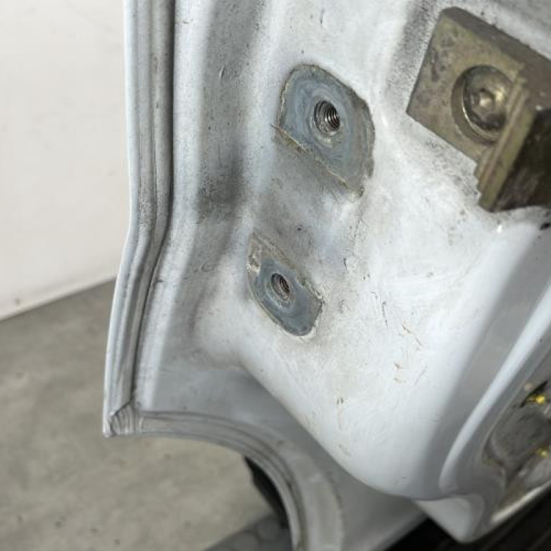 Porte avant droit RENAULT TRAFIC 2 Photo n°6