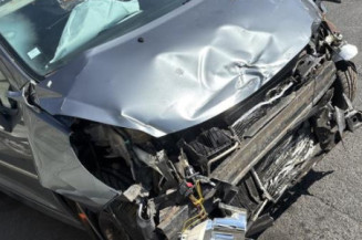 Baguette de porte avant droite PEUGEOT 207