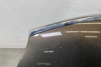 Capot CITROEN C4 PICASSO 1
