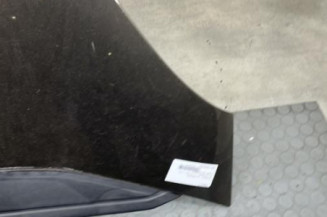 Capot CITROEN C4 PICASSO 1