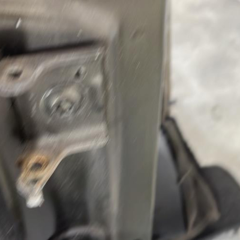 Porte avant droit CITROEN C4 PICASSO 1 Photo n°4