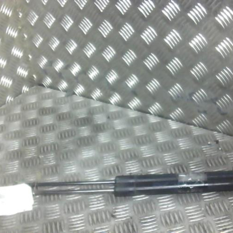 Verin de coffre VOLKSWAGEN GOLF 5 Photo n°1