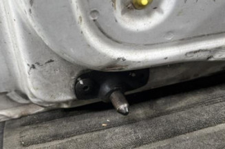Porte de coffre gauche RENAULT TRAFIC 2