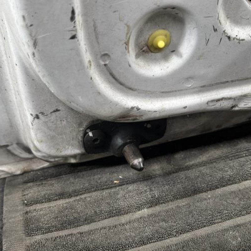 Porte de coffre gauche RENAULT TRAFIC 2 Photo n°3