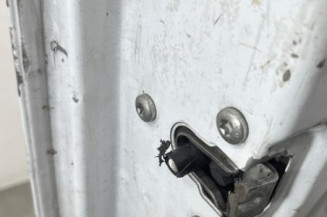 Porte de coffre gauche RENAULT TRAFIC 2