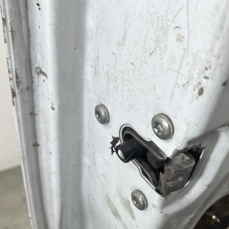 Porte de coffre gauche RENAULT TRAFIC 2 Photo n°4