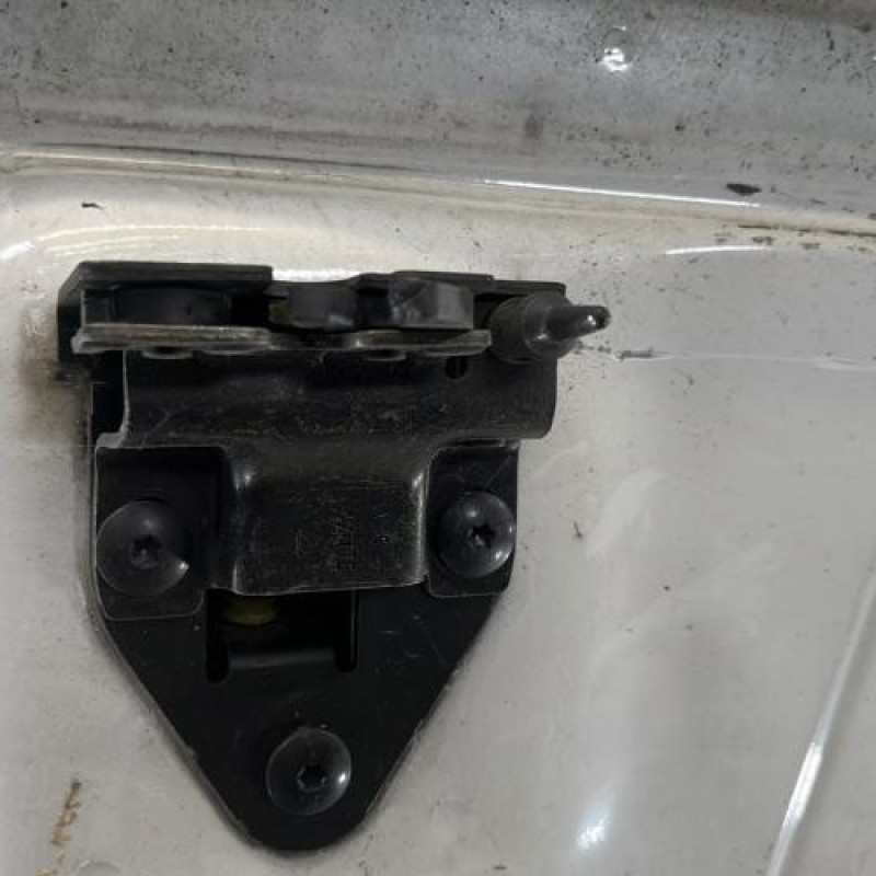 Porte de coffre gauche RENAULT TRAFIC 2 Photo n°5