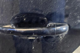 Porte arriere gauche PEUGEOT 5008 1
